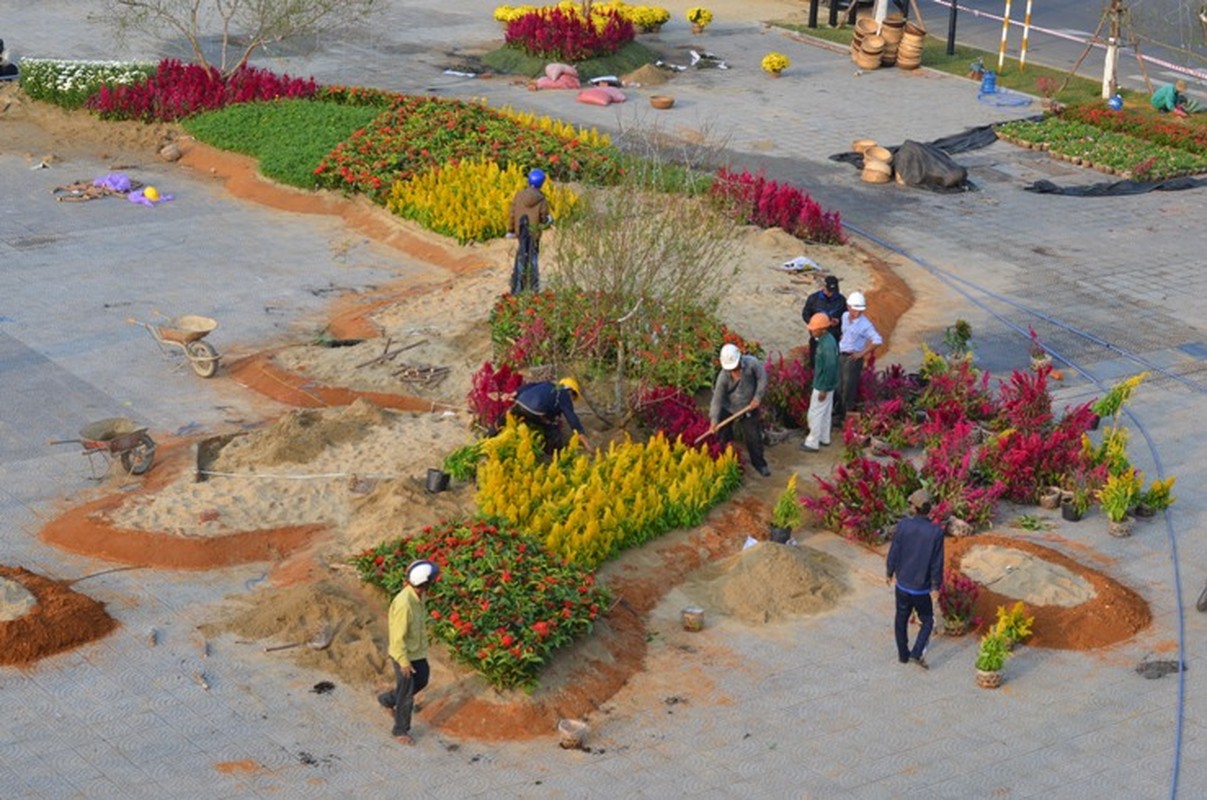 Duong hoa Da Nang chinh thuc khai hoi don khach-Hinh-13